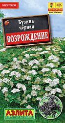 Бузина черная Возрождение_ЦП