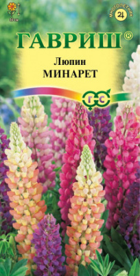 Минарет
