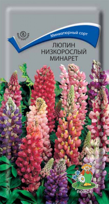 Люпин низкорослый Минарет