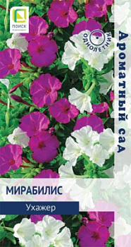 Мирабилис Ухажер