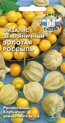 fizalis_zolotaya_rossyp_zemlyanichnyy