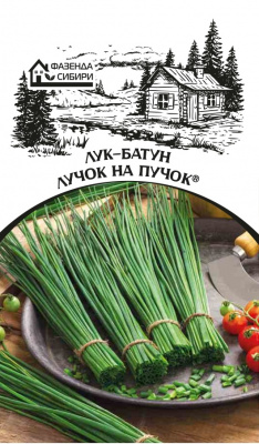 luk luchok na puchok faz
