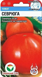 Севрюга