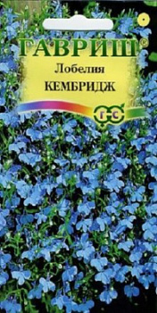 Кембридж