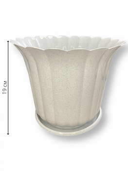 00000015985_1