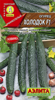 Огурец холодок