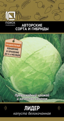 kapusta_belokoch_lider