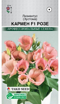 Кармен розе