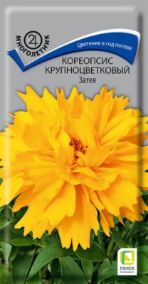 koreopsis_krupnocvet_zatea