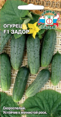 ogurets_zador_f1