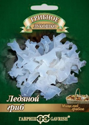 Ледяной гриб