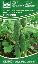 Огурец Бьерн