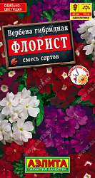 Вербена Флорист