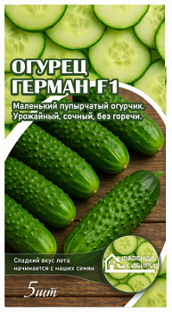 Огурец Герман