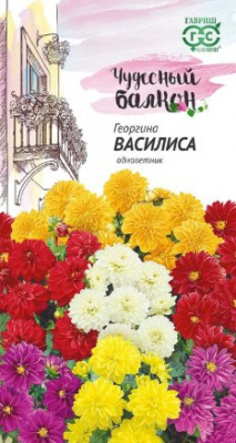 Георгина Василиса