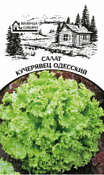 salat kucheriavec odesskyi faz-41-03-ru_page-0001