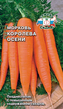morkov_koroleva_oseni