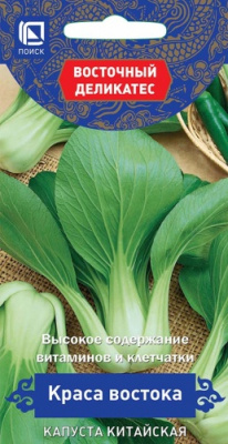 kapusta_china_krasa_vostoka