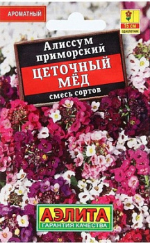 Алиссум цветочный мед