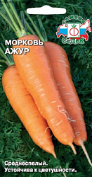 morkov_azhur