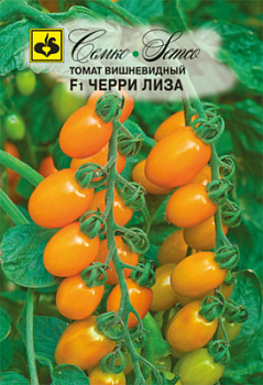 tomat_cherri_liza
