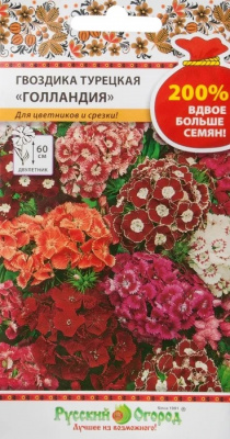 Гвоздика турецкая Голландия