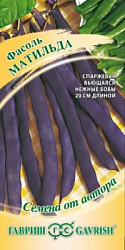 Безымянный