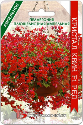 Пеларгония Кристал Квин