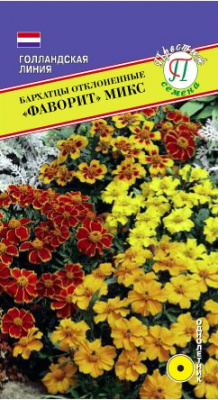 Бархатцы фаворит