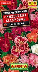 Годеция Синдерелла крупноцветковая махровая, смесь сортов_ЦП