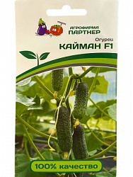 ЦБ-00000584_1