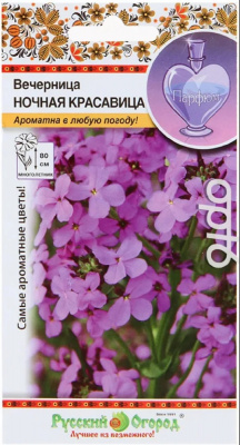Вечерница Ночная красавица