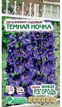 Дельфиниум Темная Ночка