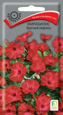 mirabilis_krasny_ledenec
