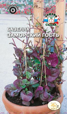bazella_zamorskiy_gost
