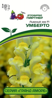 Львиный зев умберто