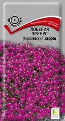 Лобелия Эринус Королевский Дворец