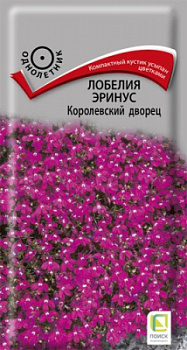 Лобелия Эринус Королевский Дворец