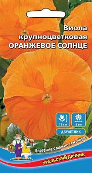 viola-krupnocvetkovaya-oranzhevoe-solnce