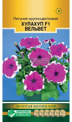 Петуния Хулахуп Вельвет