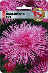 Астрав валькирия роз