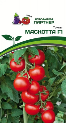 Томат маскотта