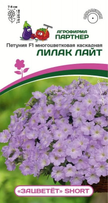 Петуния зацветет лилак лайт