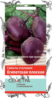 svekla_stolov_egypt_ploskaya_sem