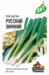 Лук батун Русский зимний ХИТ