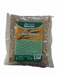 Пшеница