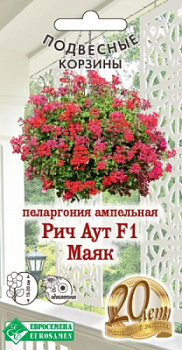 Пеларгония ампельная Рич Аут Маяк