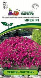 Петуния ирен