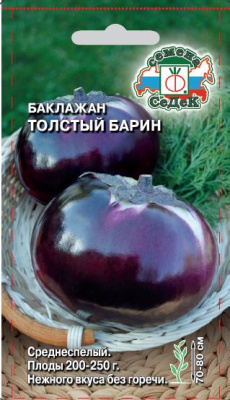 baklazhan_tolstyy_barin