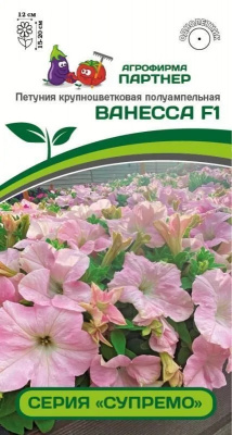 Ванесса